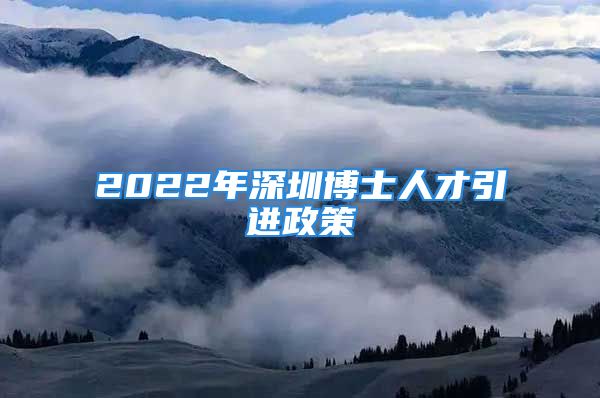 2022年深圳博士人才引進(jìn)政策