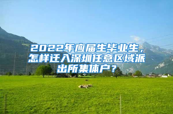 2022年應(yīng)屆生畢業(yè)生，怎樣遷入深圳任意區(qū)域派出所集體戶？