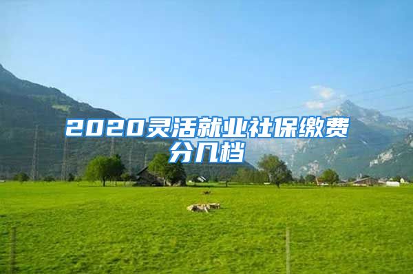 2020靈活就業(yè)社保繳費(fèi)分幾檔