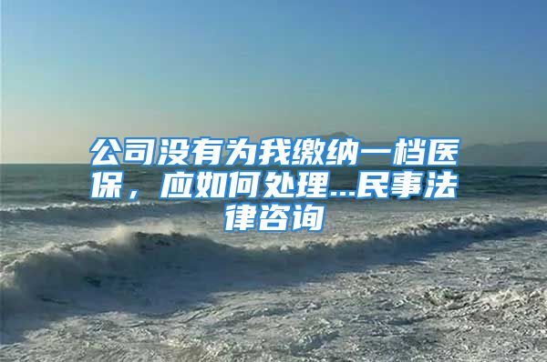 公司沒有為我繳納一檔醫(yī)保，應(yīng)如何處理...民事法律咨詢