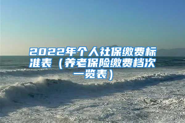 2022年個(gè)人社保繳費(fèi)標(biāo)準(zhǔn)表（養(yǎng)老保險(xiǎn)繳費(fèi)檔次一覽表）