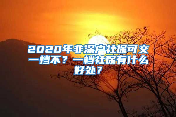 2020年非深戶社?？山灰粰n不？一檔社保有什么好處？