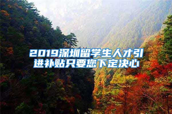 2019深圳留學(xué)生人才引進(jìn)補(bǔ)貼只要您下定決心