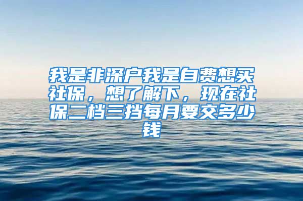 我是非深戶我是自費(fèi)想買(mǎi)社保，想了解下，現(xiàn)在社保二檔三擋每月要交多少錢(qián)