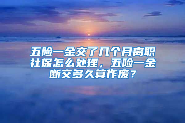 五險(xiǎn)一金交了幾個(gè)月離職社保怎么處理，五險(xiǎn)一金斷交多久算作廢？