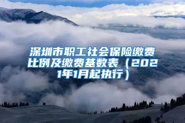 深圳市職工社會(huì)保險(xiǎn)繳費(fèi)比例及繳費(fèi)基數(shù)表（2021年1月起執(zhí)行）