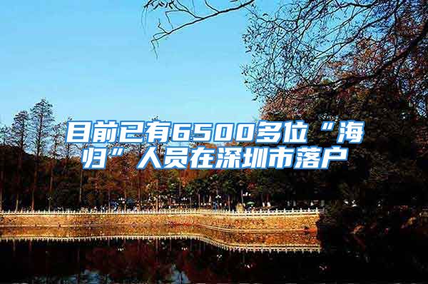 目前已有6500多位“海歸”人員在深圳市落戶