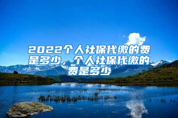 2022個人社保代繳的費是多少，個人社保代繳的費是多少