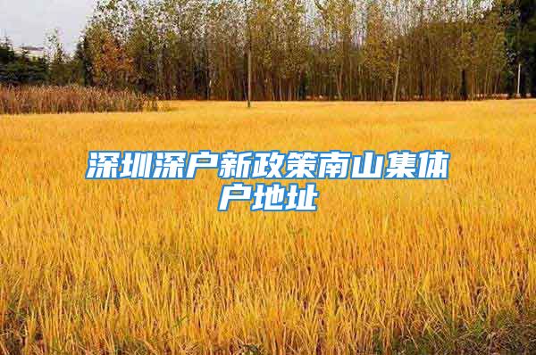 深圳深戶新政策南山集體戶地址