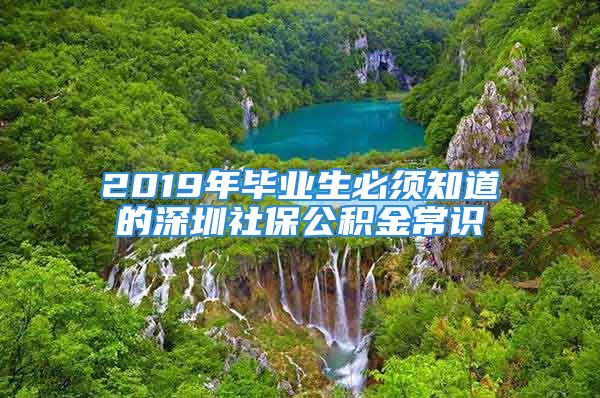 2019年畢業(yè)生必須知道的深圳社保公積金常識