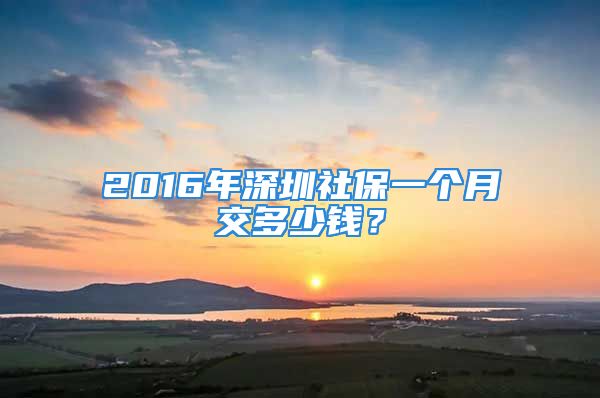 2016年深圳社保一個月交多少錢？