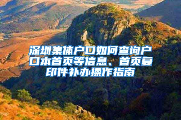 深圳集體戶口如何查詢戶口本首頁(yè)等信息、首頁(yè)復(fù)印件補(bǔ)辦操作指南