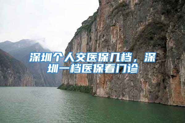 深圳個(gè)人交醫(yī)保幾檔，深圳一檔醫(yī)?？撮T診