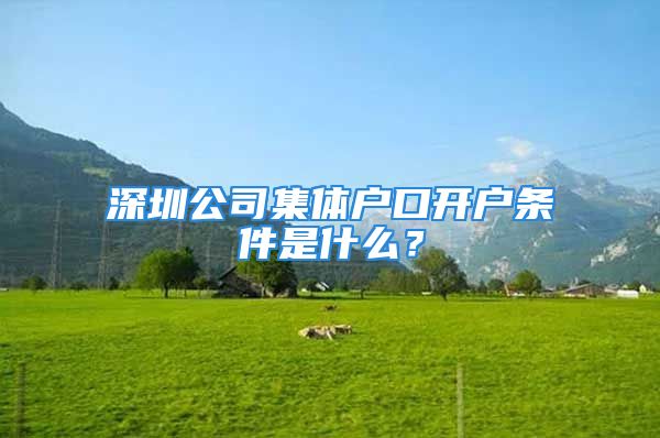 深圳公司集體戶口開戶條件是什么？