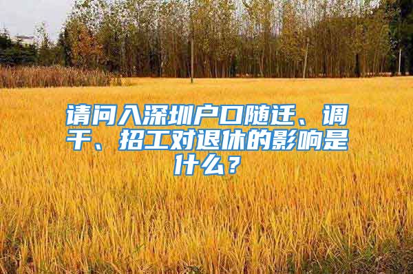 請問入深圳戶口隨遷、調干、招工對退休的影響是什么？