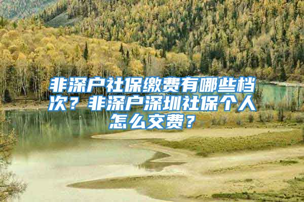 非深戶社保繳費(fèi)有哪些檔次？非深戶深圳社保個(gè)人怎么交費(fèi)？