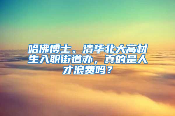 哈佛博士、清華北大高材生入職街道辦，真的是人才浪費嗎？