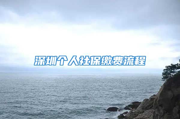 深圳個人社保繳費流程