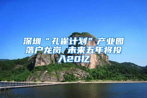 深圳“孔雀計劃”產業(yè)園落戶龍崗 未來五年將投入20億