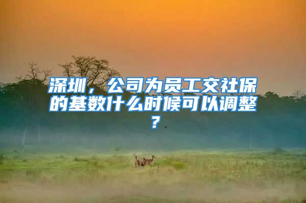 深圳，公司為員工交社保的基數(shù)什么時(shí)候可以調(diào)整？