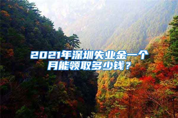 2021年深圳失業(yè)金一個(gè)月能領(lǐng)取多少錢？