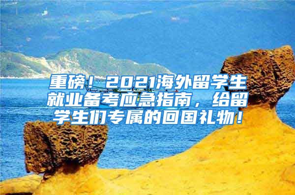 重磅！2021海外留學(xué)生就業(yè)備考應(yīng)急指南，給留學(xué)生們專屬的回國禮物！