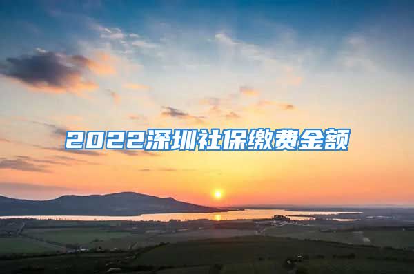 2022深圳社保繳費金額