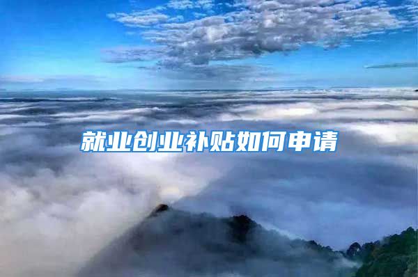 就業(yè)創(chuàng)業(yè)補(bǔ)貼如何申請(qǐng)