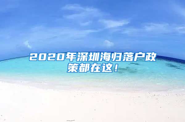 2020年深圳海歸落戶政策都在這！