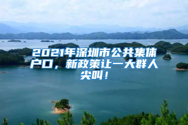 2021年深圳市公共集體戶口，新政策讓一大群人尖叫！