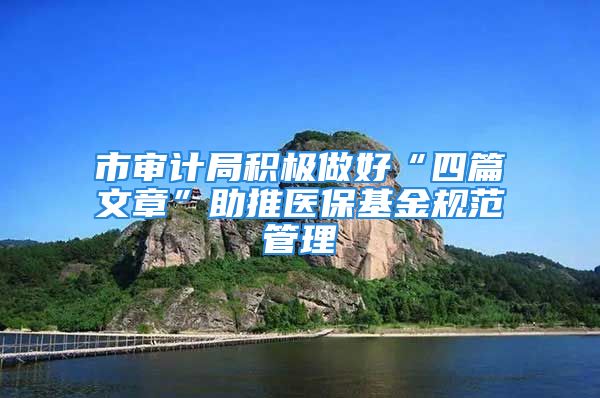 市審計(jì)局積極做好“四篇文章”助推醫(yī)?；鹨?guī)范管理