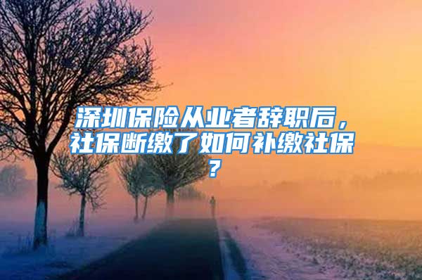 深圳保險從業(yè)者辭職后，社保斷繳了如何補繳社保？