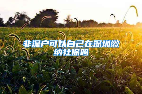 非深戶可以自己在深圳繳納社保嗎