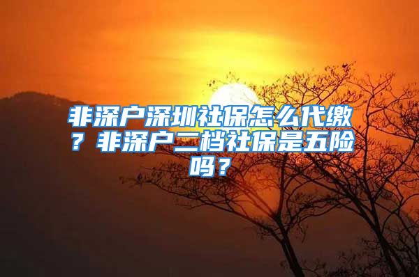 非深戶深圳社保怎么代繳？非深戶二檔社保是五險(xiǎn)嗎？