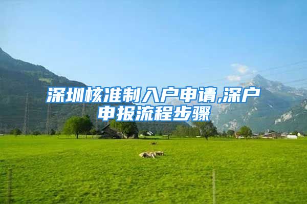 深圳核準(zhǔn)制入戶申請,深戶申報流程步驟