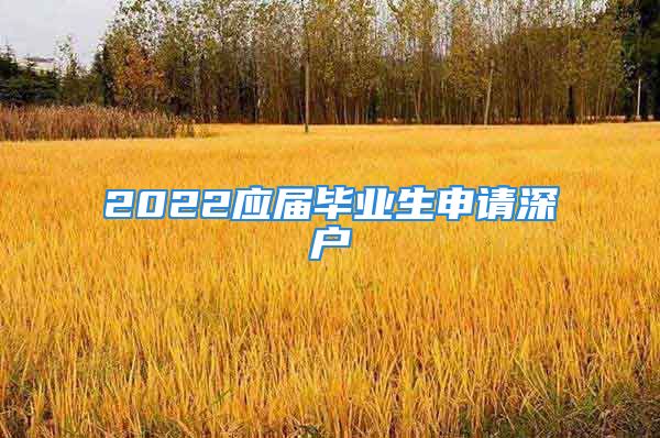 2022應(yīng)屆畢業(yè)生申請深戶