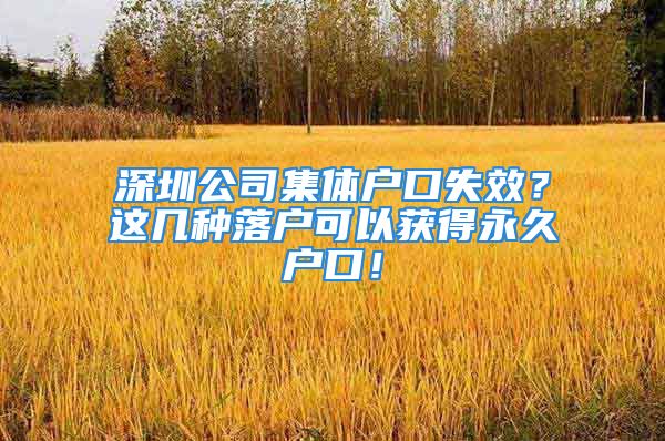 深圳公司集體戶口失效？這幾種落戶可以獲得永久戶口！