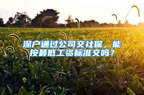 深戶通過公司交社保，能按最低工資標(biāo)準(zhǔn)交嗎？