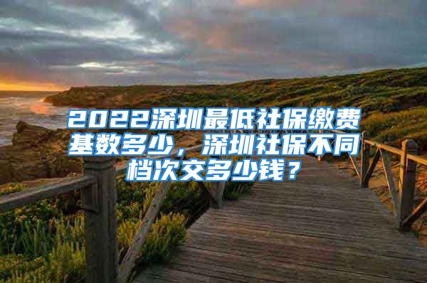 2022深圳最低社保繳費(fèi)基數(shù)多少，深圳社保不同檔次交多少錢？