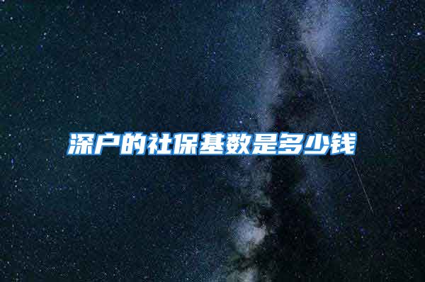 深戶的社?；鶖?shù)是多少錢