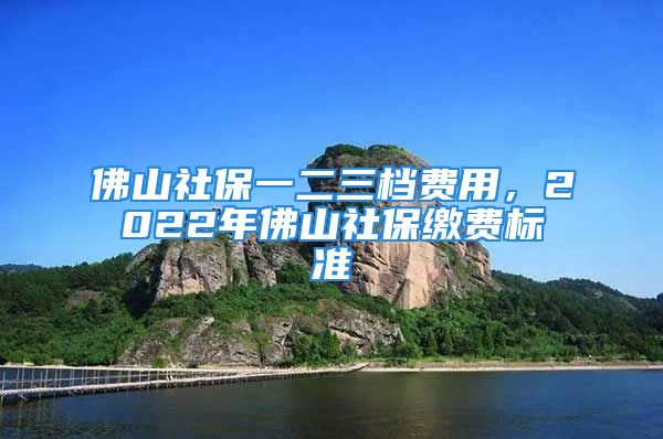 佛山社保一二三檔費用，2022年佛山社保繳費標準