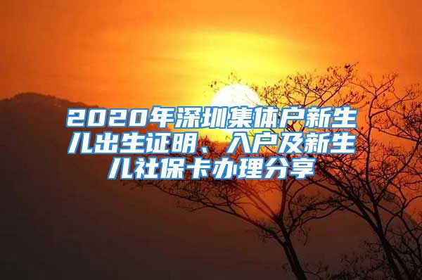 2020年深圳集體戶(hù)新生兒出生證明、入戶(hù)及新生兒社?？ㄞk理分享