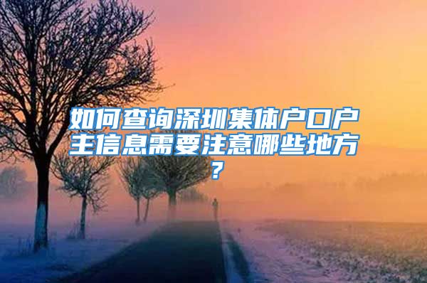 如何查詢深圳集體戶口戶主信息需要注意哪些地方？