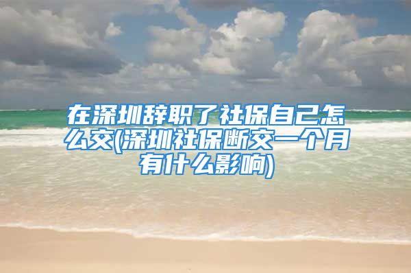 在深圳辭職了社保自己怎么交(深圳社保斷交一個月有什么影響)