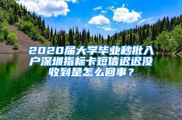 2020屆大學(xué)畢業(yè)秒批入戶深圳指標(biāo)卡短信遲遲沒收到是怎么回事？