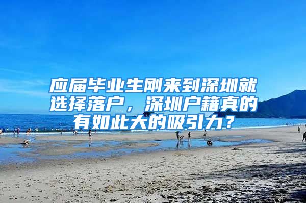 應(yīng)屆畢業(yè)生剛來到深圳就選擇落戶，深圳戶籍真的有如此大的吸引力？