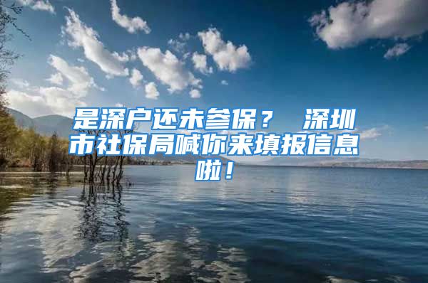 是深戶還未參保？ 深圳市社保局喊你來填報(bào)信息啦！