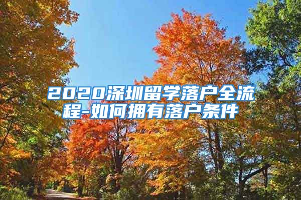 2020深圳留學(xué)落戶全流程-如何擁有落戶條件