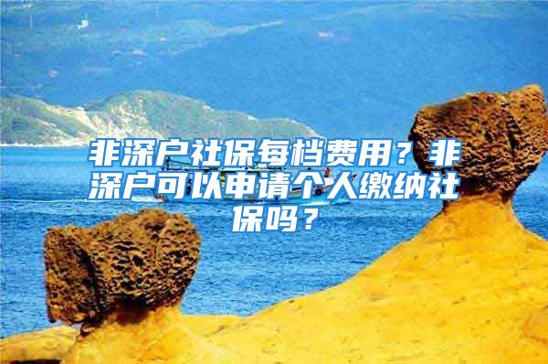 非深戶社保每檔費(fèi)用？非深戶可以申請(qǐng)個(gè)人繳納社保嗎？