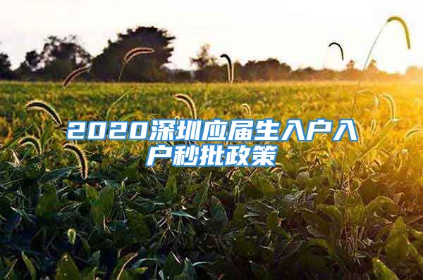 2020深圳應(yīng)屆生入戶入戶秒批政策